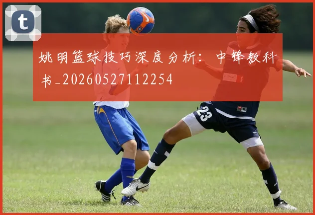 姚明篮球技巧深度分析:中锋教科书_20260527112254
